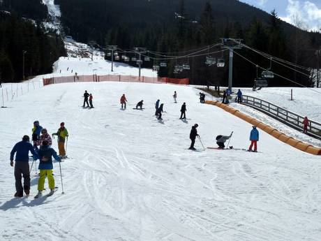 Comprensori sciistici per principianti nel Vancouver, Coast & Mountains – Principianti Whistler Blackcomb