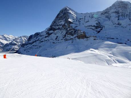 Offerta di piste Europa Centrale – Offerta di piste Kleine Scheidegg/Männlichen - Grindelwald/Wengen